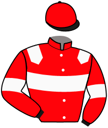 Casaque de HORYVIL DES MOYEUX