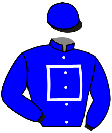 Casaque de MIAMI BEET