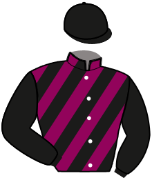 Casaque de LOYAL ELEVEN