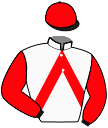 Casaque de HANSKA SAUTONNE