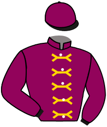 Casaque de YELLOW JERSEY