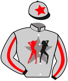 Casaque de GO GO BLITZ