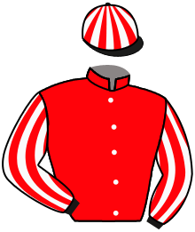 Casaque de CABALLO DE MAR