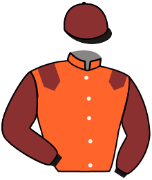 Casaque de HIGH HOPE