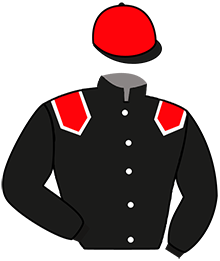 Casaque de MIEUXQUERIEN