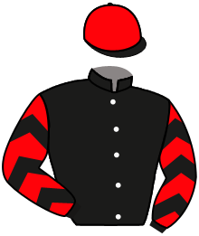 Casaque de ARABIAN FEVER