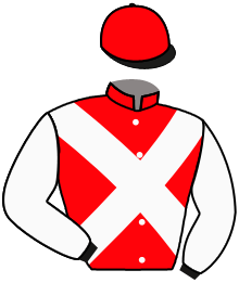 Casaque de PROSECUTOR