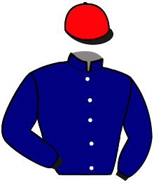 Casaque de LA VIE EST BELLE