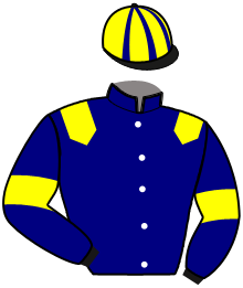 Casaque de KING SALTOR