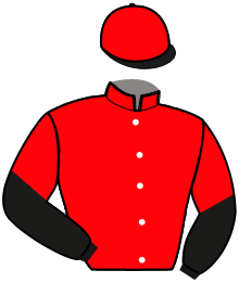 Casaque de IRMA BABEL