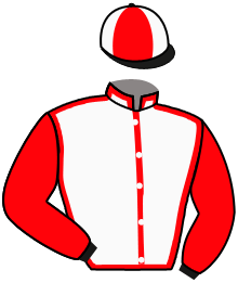 Casaque de CAREGIVER