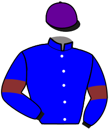 Casaque de LE ROI DES BRIERES