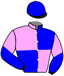 Casaque de FIRSTCLASS