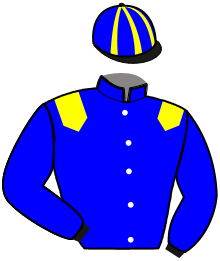 Casaque de HYSIS VENESI