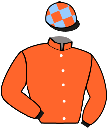 Casaque de HOLD MAJYC