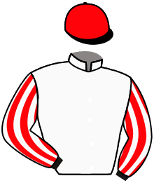 Casaque de BIG FREEZE