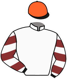 Casaque de PARK OF DIAMOND