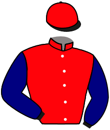 Casaque de SWIFT FLIGHT