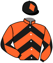 Casaque de SILVER SILENT