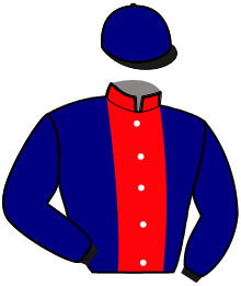 Casaque de MODERN STYLE