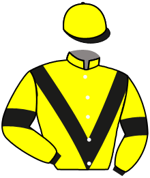 Casaque de MAGIC DU BRIZAIS