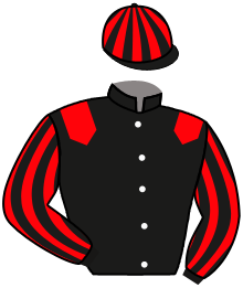 Casaque de ALBERT BRIDGE