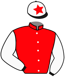 Casaque de NO RISK NO GAIN