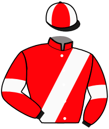 Casaque de JOYAU DU GRESSY