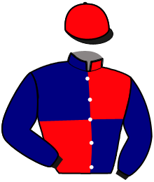 Casaque de NOLIMIT DES FORGES