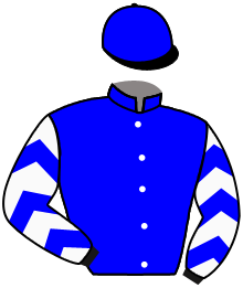 Casaque de BORN TO DEFEAT