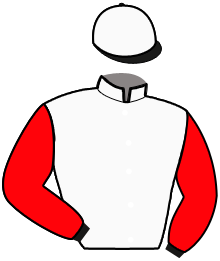 Casaque de FALCO KILLER GAR