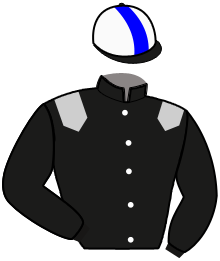 Casaque de DOZEN OF OYSTERS