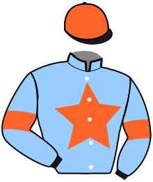 Casaque de NELSON GOLD