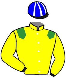 Casaque de KENYAN BLUES