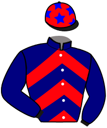 Casaque de ICE DREAM ROYAL