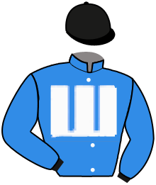 Casaque de ELEGANT MOTIVATION