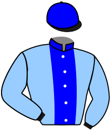 Casaque de SAXON VILLAGE