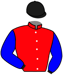 Casaque de ROCK PEARL