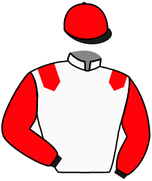 Casaque de DON SAINT ROCK