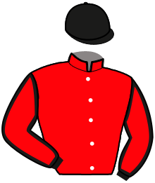 Casaque de L'ULTIME D'AXEL