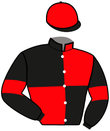 Casaque de HORACE D'ARTHENAY