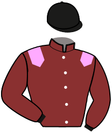 Casaque de NIFTY DREAM