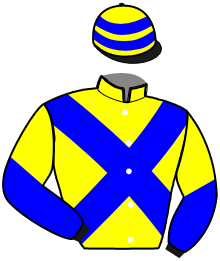 Casaque de MON DE CHEVALERIE