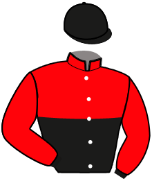 Casaque de INGLORIOUS