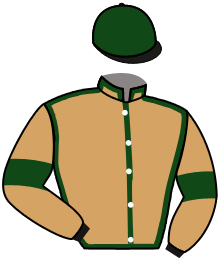 Casaque de MAGIC STORM DU LIA