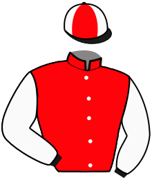 Casaque de LIGHTNING ARCTIC