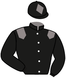 Casaque de TOLLARD ROYAL