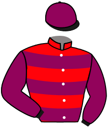 Casaque de MCLEAN HOUSE