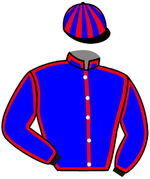 Casaque de BEAU ROMAN