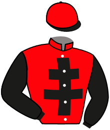 Casaque de LOUIS SKI